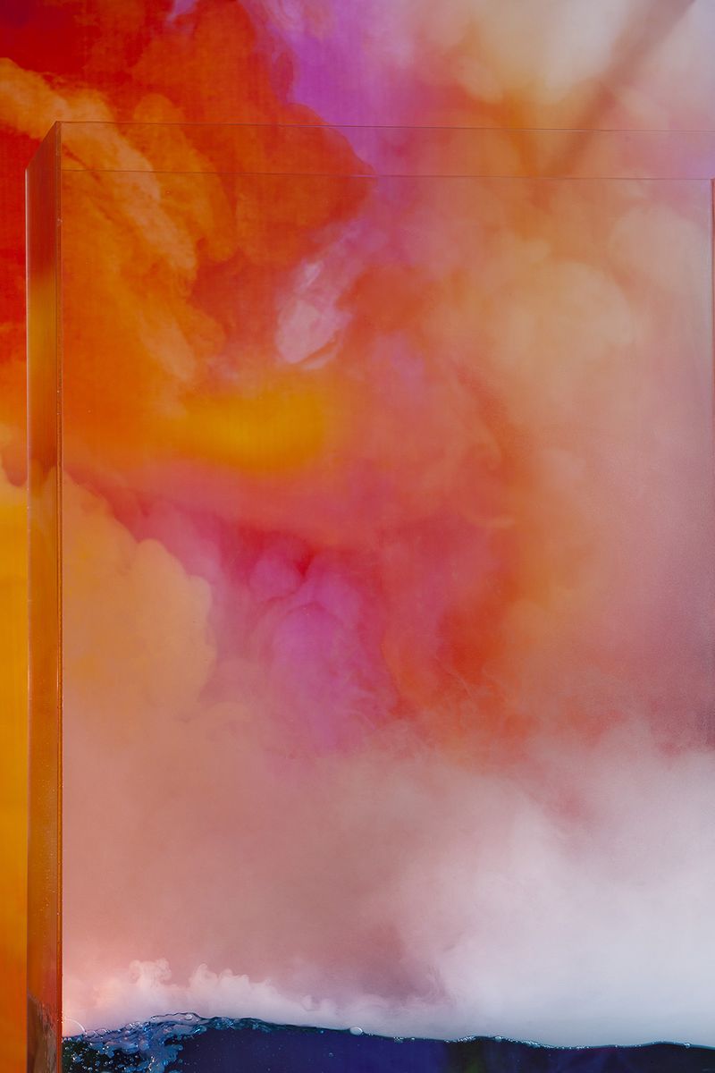 © Christine Atkinson - “Untitled (Tropical)” Inkjet Print 33” x 50” 2017
