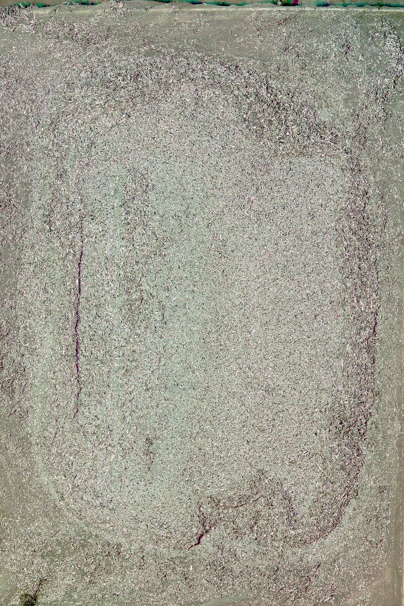 © Christine Atkinson - “Hyperreal (Silver)” Inkjet Print 30” x 40” 2015
