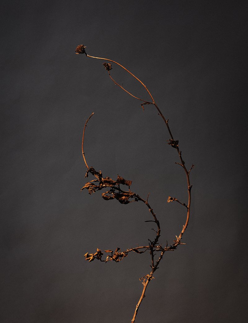 © Christine Atkinson - Image from the are we here for ourselves alone? photography project