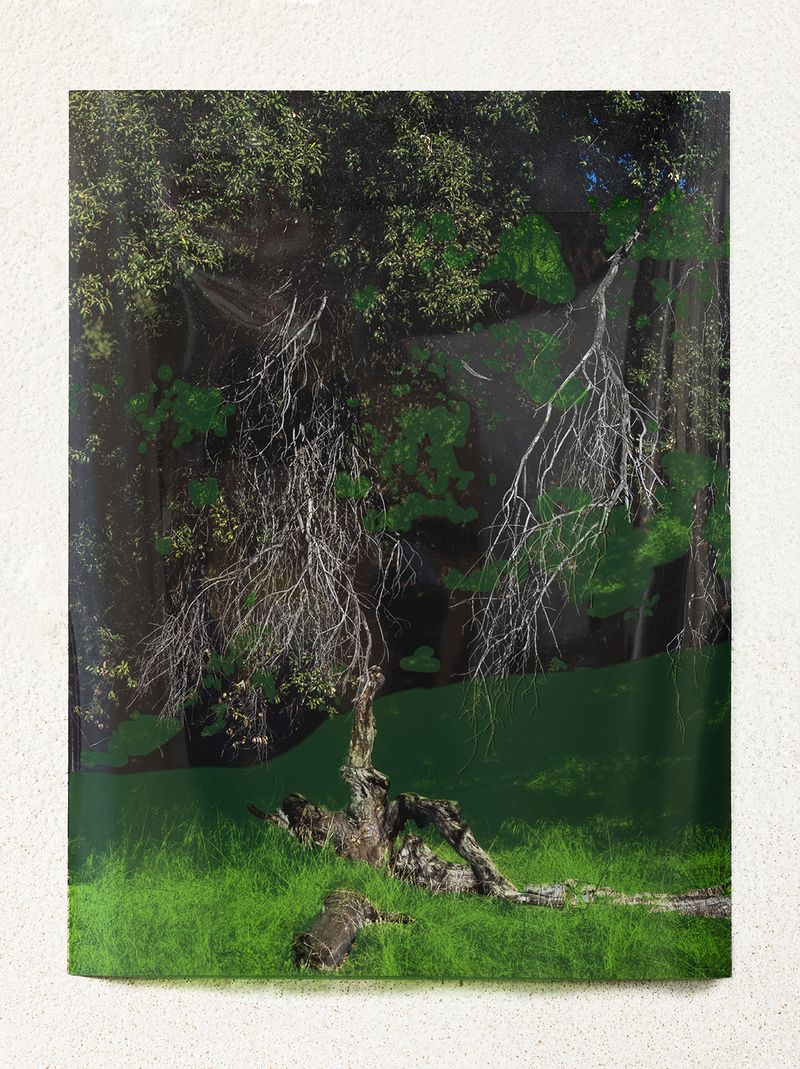 © Christine Atkinson - "just paint it green" inkjet print and clear plastic film 15" x 20" 2020