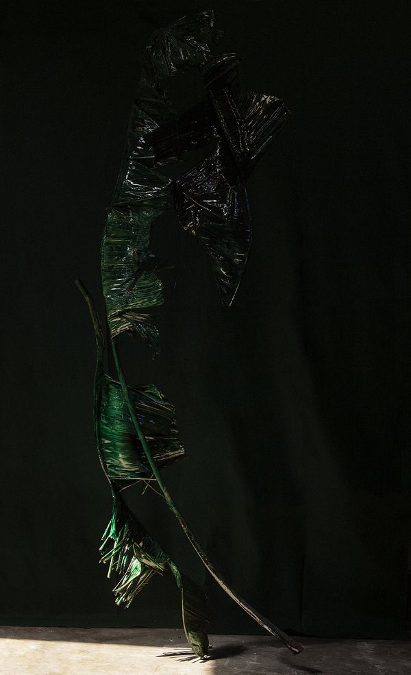 © Christine Atkinson - “Green of Desire” Inkjet Print 59” x 36”