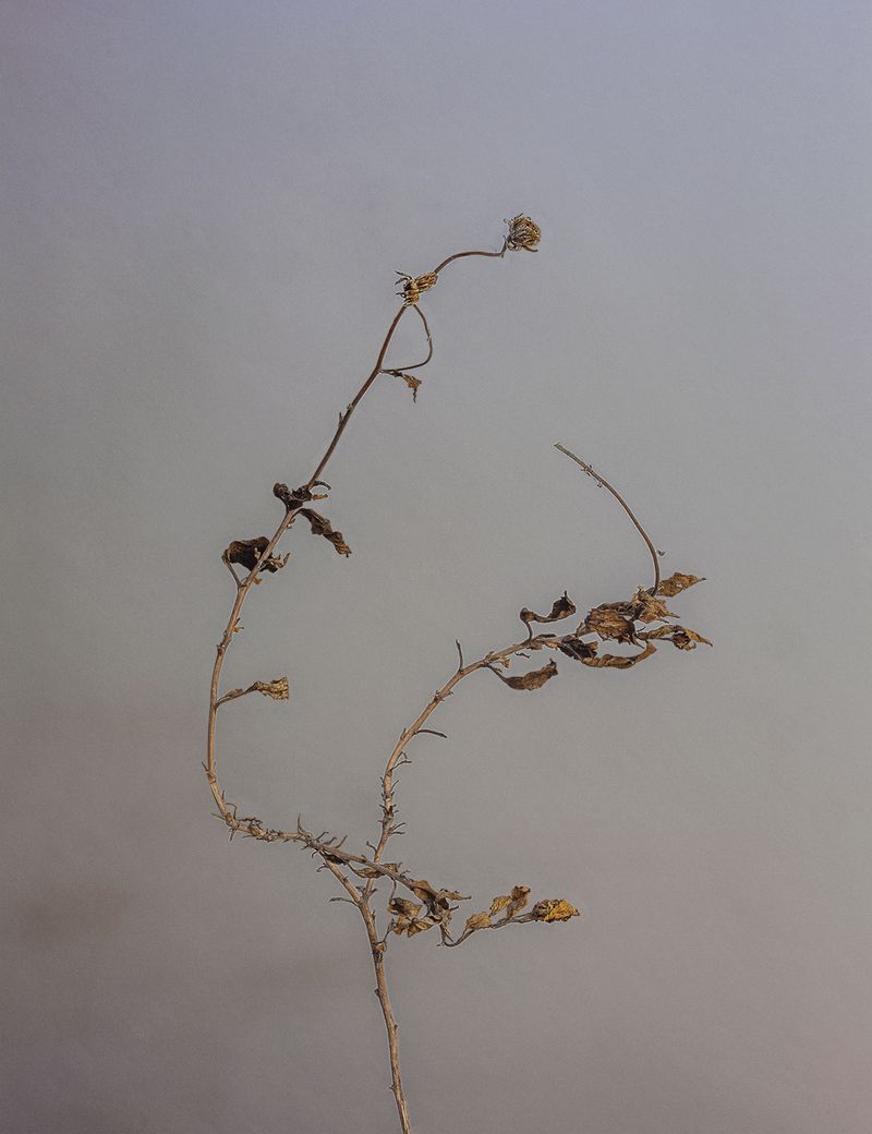 © Christine Atkinson - Image from the are we here for ourselves alone? photography project