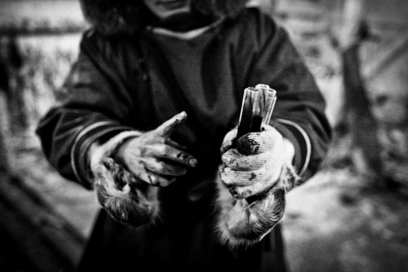 © Tatiana Plotnikova - Tyumen region, the abattoir near Labytnangi city.