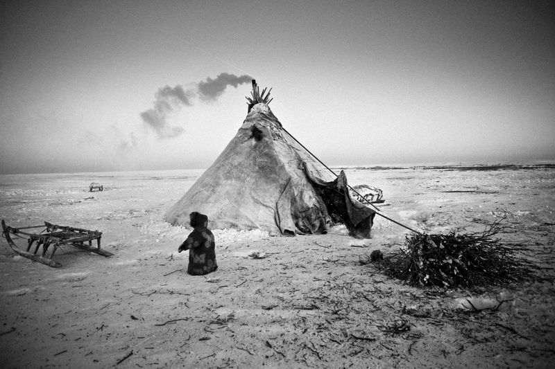 © Tatiana Plotnikova - Tyumen region.The Nenets boy is in the tundra.