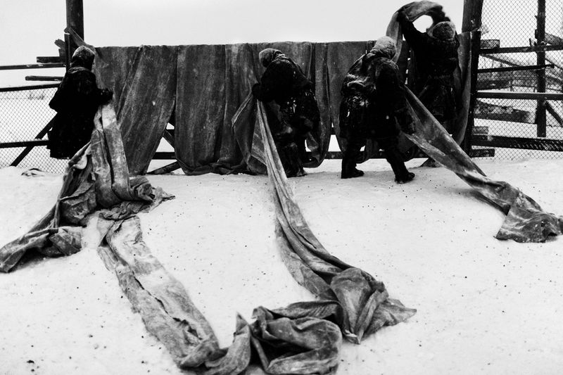 © Tatiana Plotnikova - Tyumen region, the abattoir near Labytnangi city.