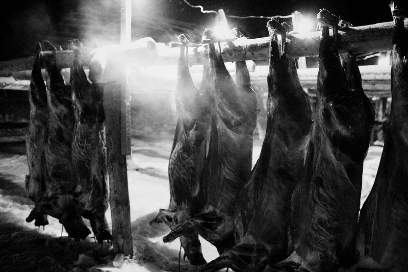 © Tatiana Plotnikova - Tyumen region, the abattoir near Labytnangi city.