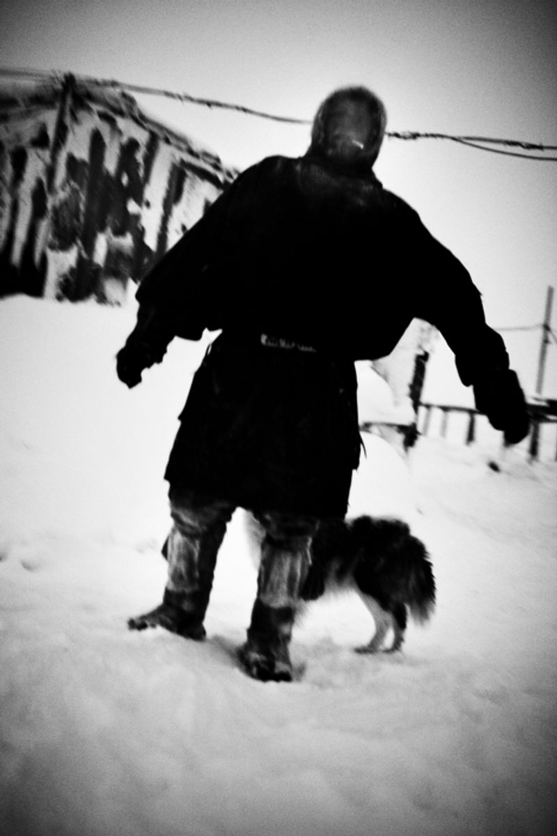 © Tatiana Plotnikova - Tyumen region, the abattoir near Labytnangi city.