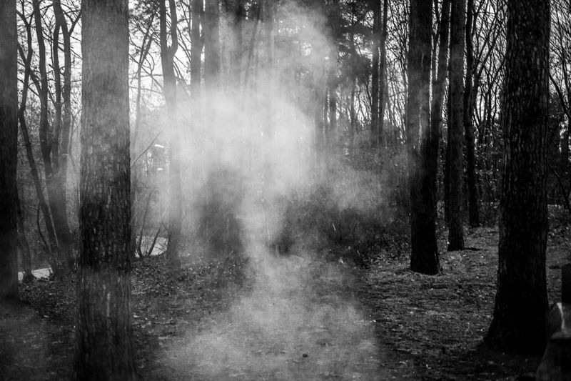 © Azadeh Besharati - Image from the Shima and Shiva photography project