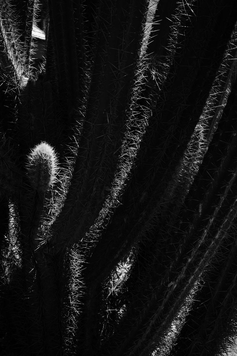 © Azadeh Besharati - Image from the I Have Forgotten the Shape of Water photography project