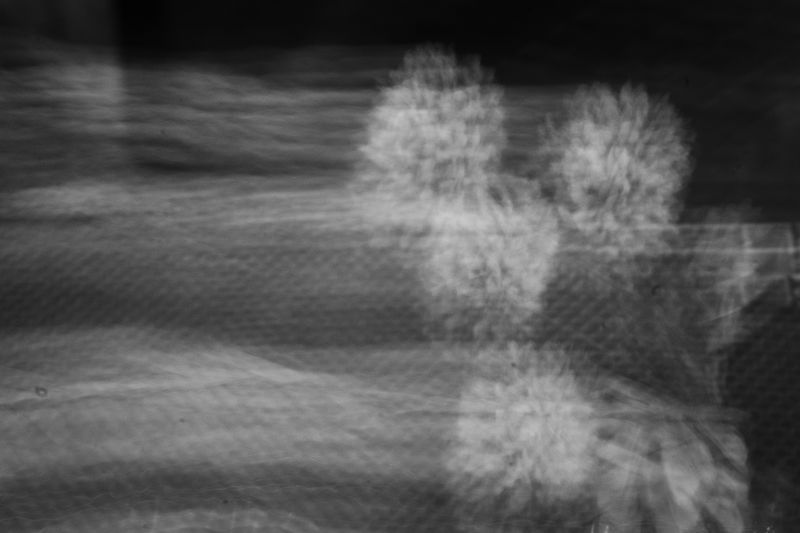 © Azadeh Besharati - Image from the I Have Forgotten the Shape of Water photography project