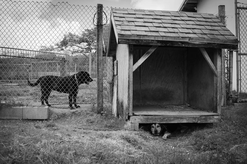 © Azadeh Besharati - Image from the I Have Forgotten the Shape of Water photography project