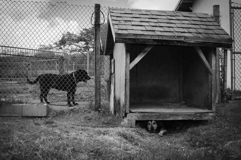 © Azadeh Besharati - Image from the I Have Forgotten the Shape of Water photography project