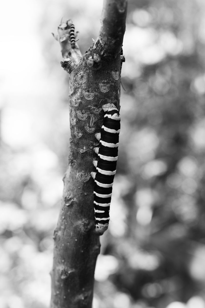 © Azadeh Besharati - Image from the I Have Forgotten the Shape of Water photography project