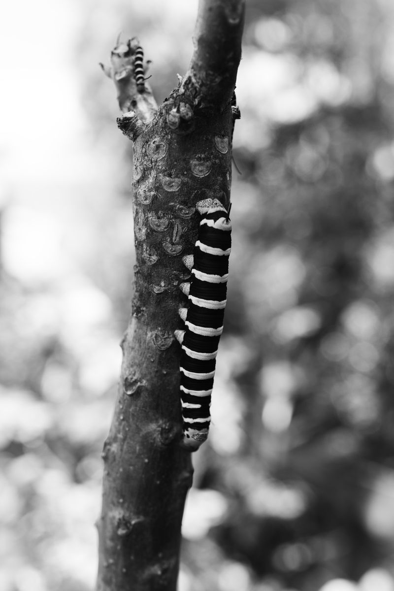 © Azadeh Besharati - Image from the I Have Forgotten the Shape of Water photography project