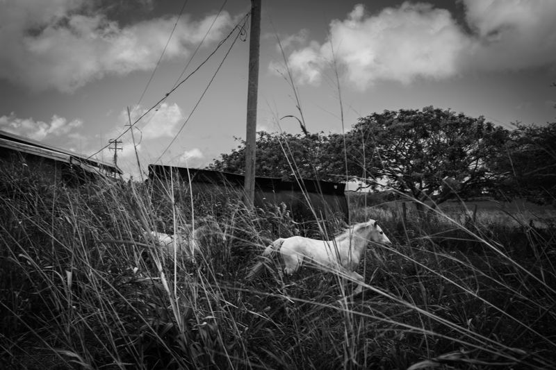 © Azadeh Besharati - Image from the I Have Forgotten the Shape of Water photography project