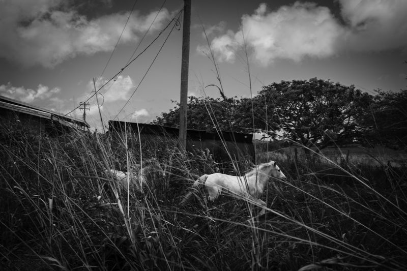 © Azadeh Besharati - Image from the I Have Forgotten the Shape of Water photography project