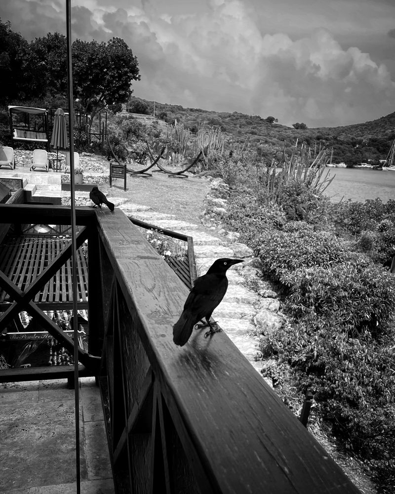 © Azadeh Besharati - Image from the I Have Forgotten the Shape of Water photography project