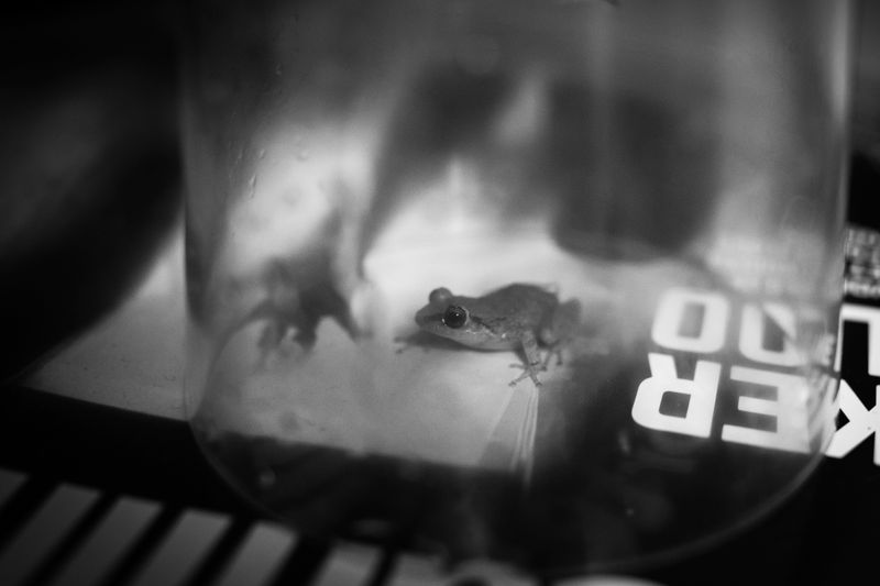 © Azadeh Besharati - Image from the I Have Forgotten the Shape of Water photography project