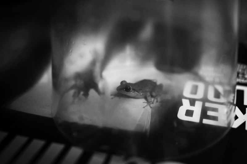 © Azadeh Besharati - Image from the I Have Forgotten the Shape of Water photography project