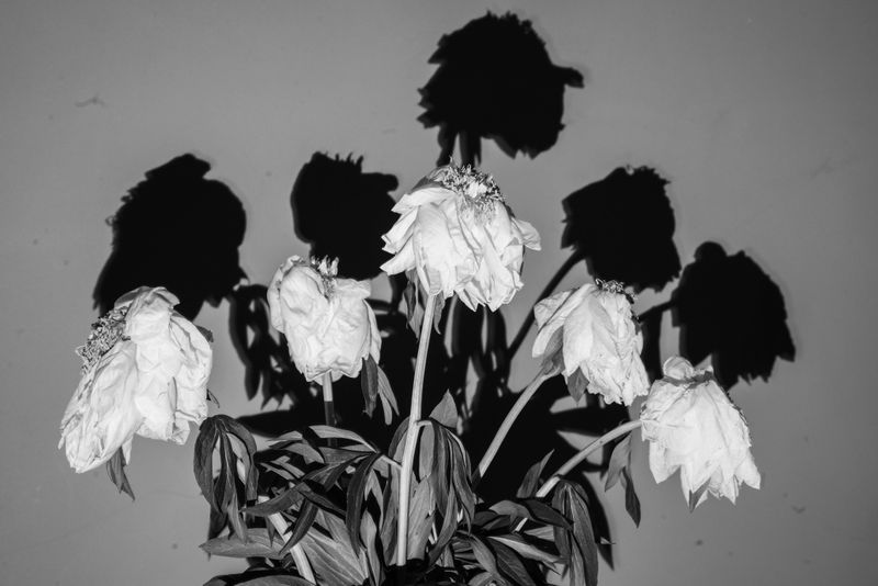 © Azadeh Besharati - Image from the I Have Forgotten the Shape of Water photography project