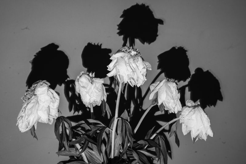 © Azadeh Besharati - Image from the I Have Forgotten the Shape of Water photography project