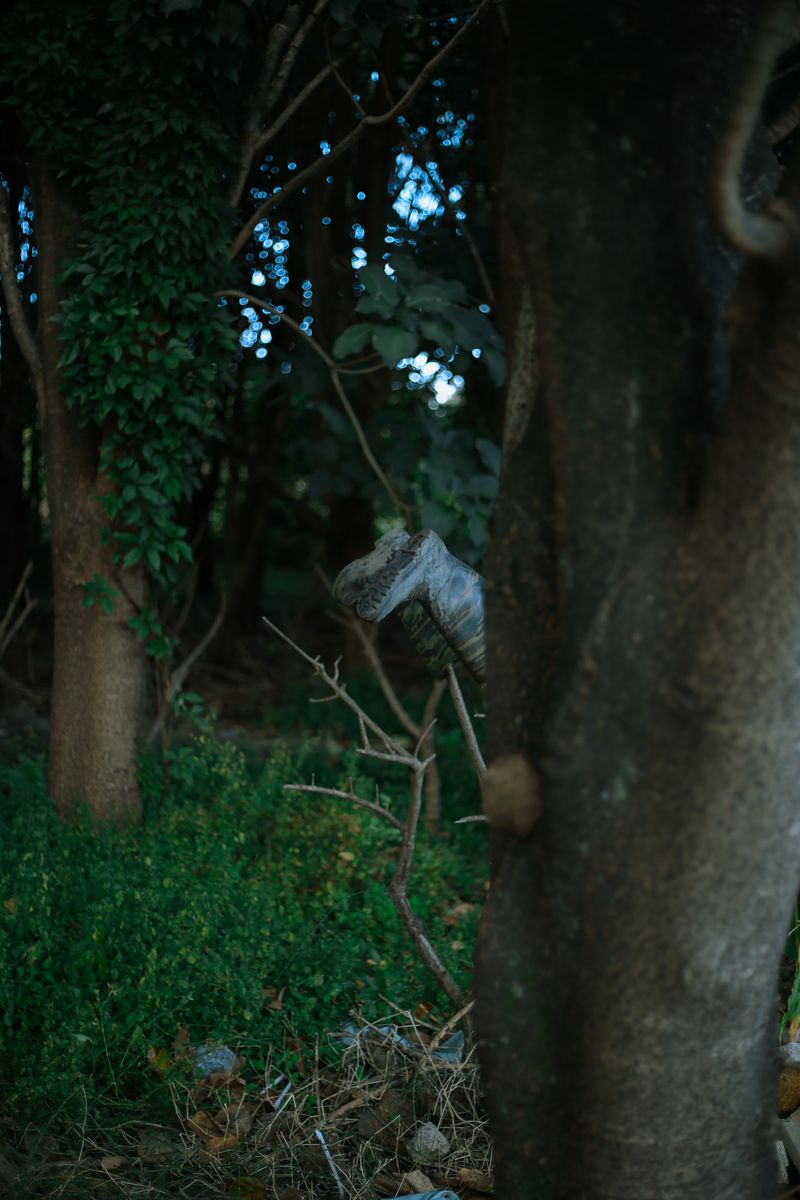 © Diana Lee - Image from the Nothing Happened at Noon photography project