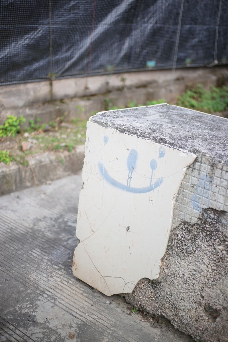 © Diana Lee - Image from the Nothing Happened at Noon photography project