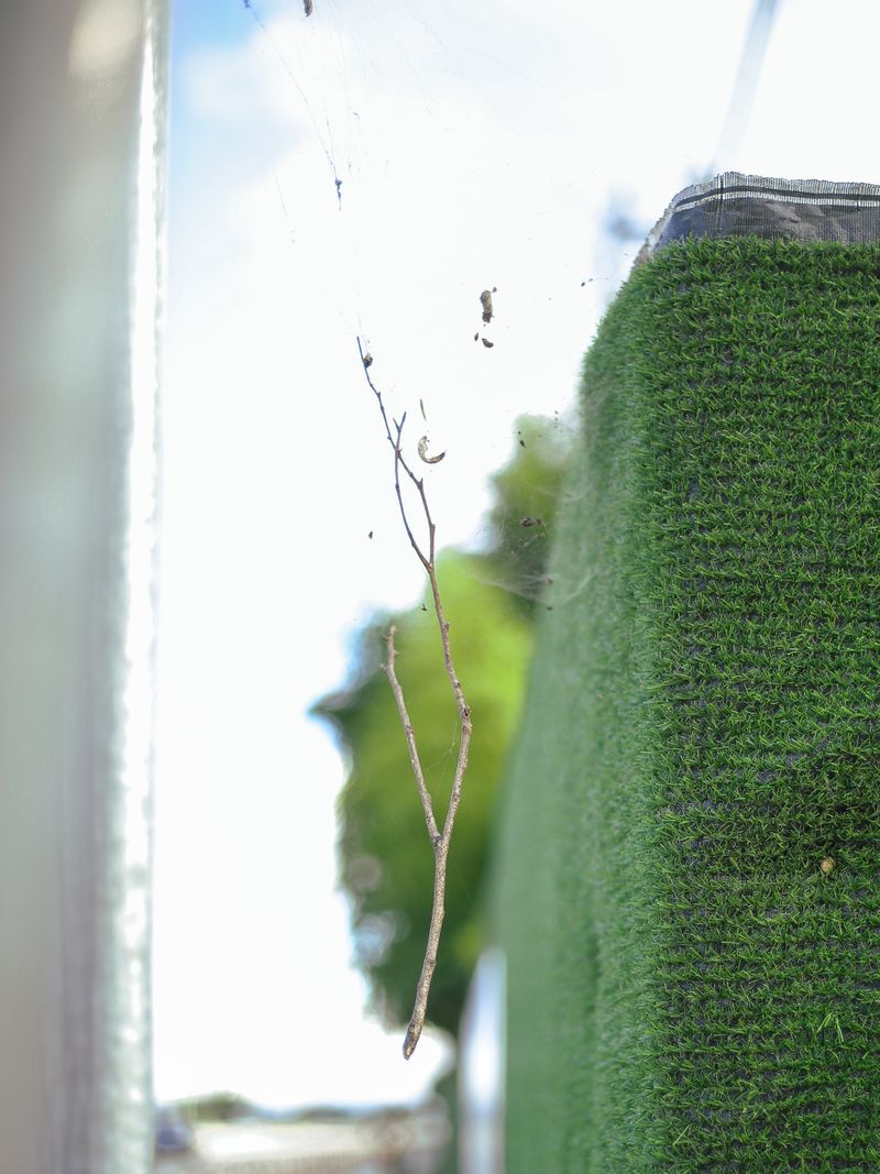 © Diana Lee - Image from the Nothing Happened at Noon photography project
