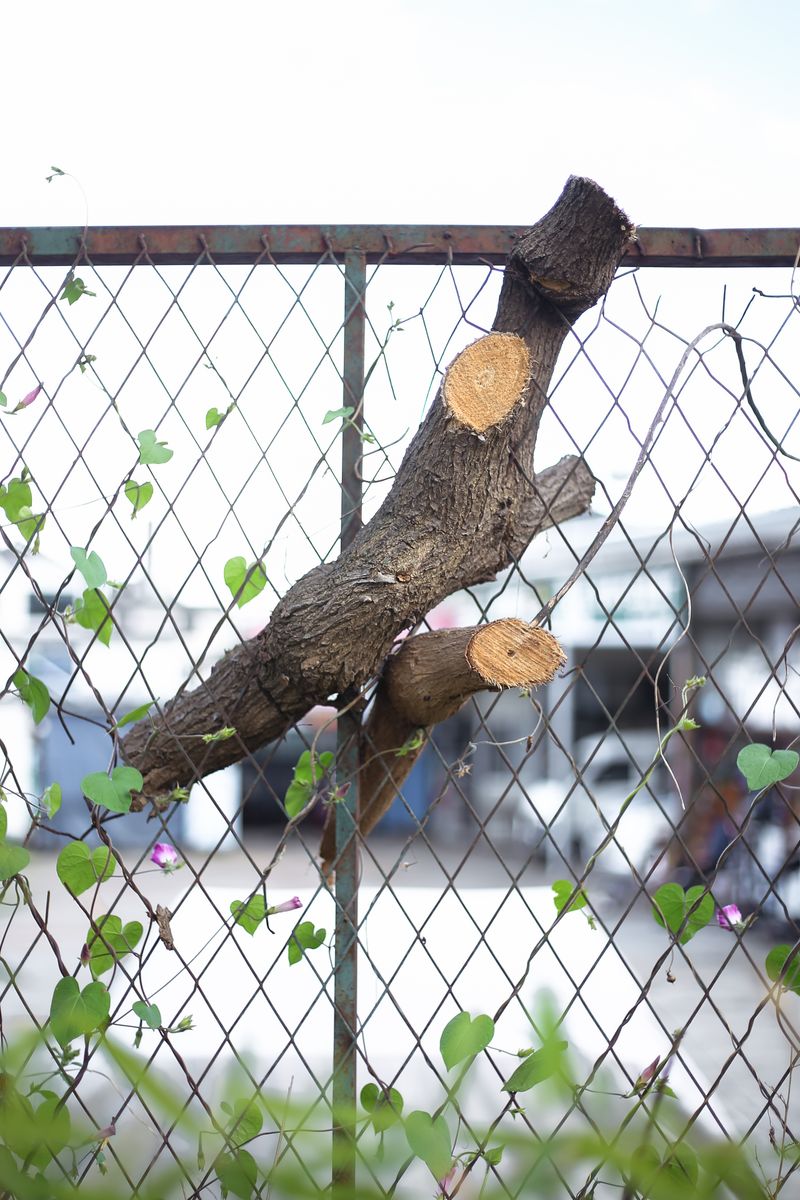 © Diana Lee - Image from the Nothing Happened at Noon photography project