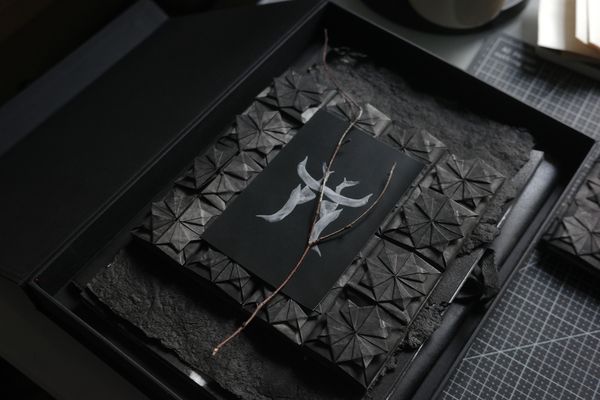 Image from a project on PhMuseum