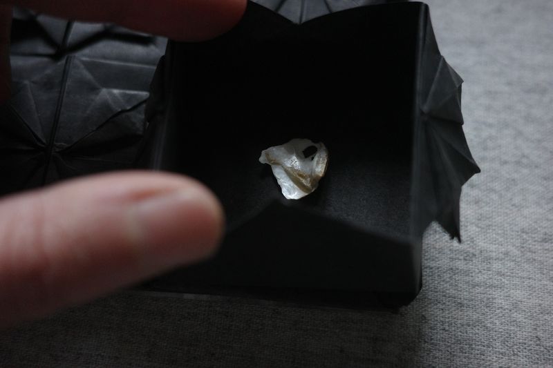 Image from a project on PhMuseum