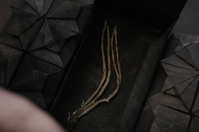 Image from a project on PhMuseum