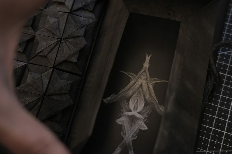 Image from a project on PhMuseum