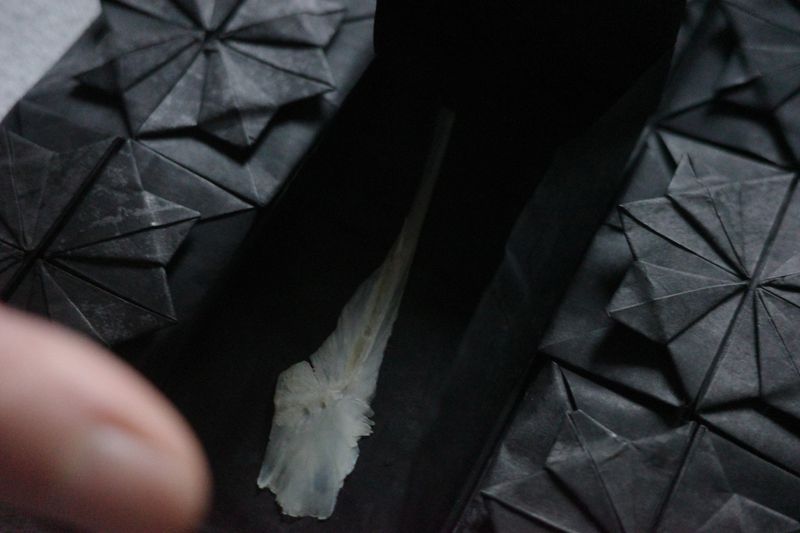 Image from a project on PhMuseum