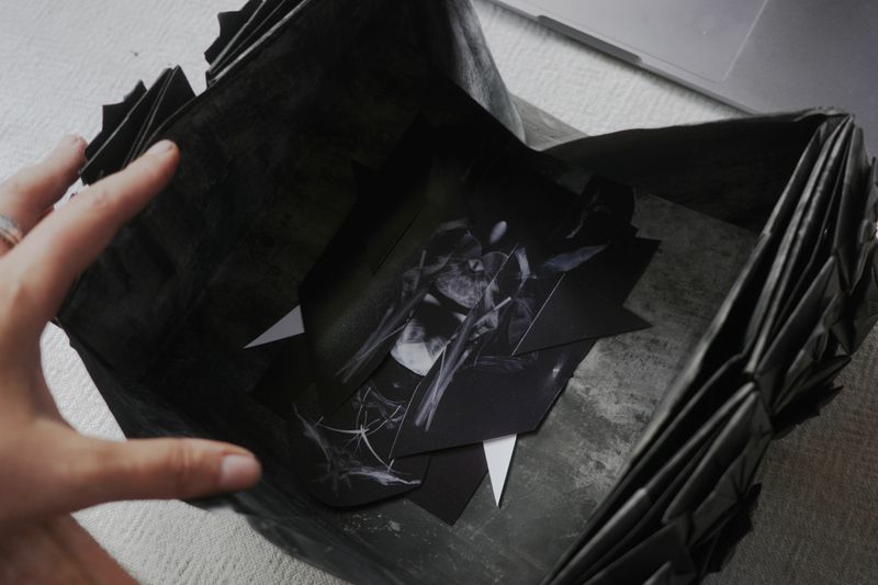 Image from a project on PhMuseum