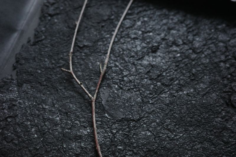 Image from a project on PhMuseum