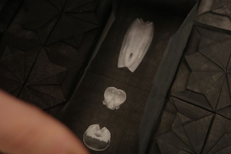 Image from a project on PhMuseum