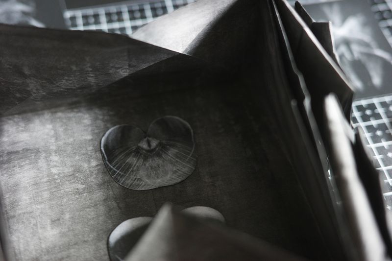 Image from a project on PhMuseum