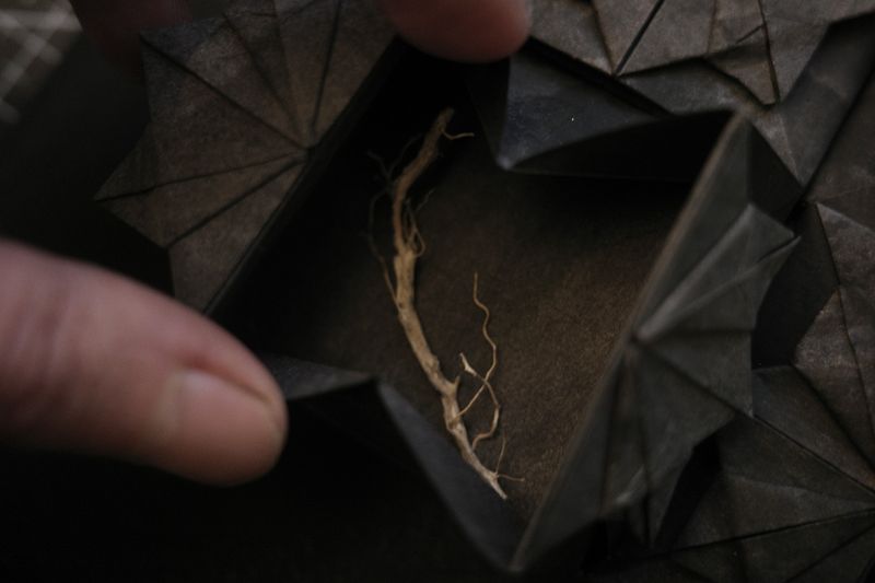 Image from a project on PhMuseum