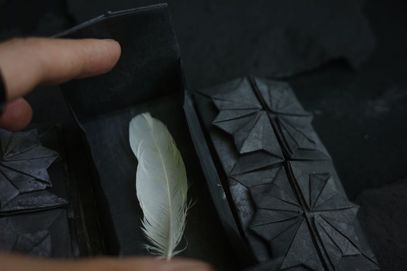 Image from a project on PhMuseum