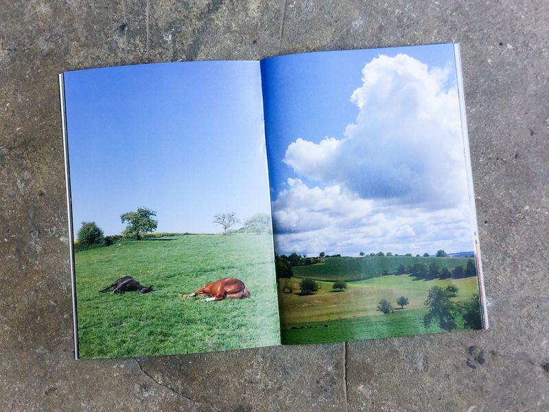 New Zine available