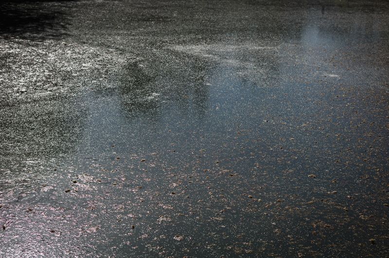 © Frederic George Pauwels - Image from the The Fringe photography project