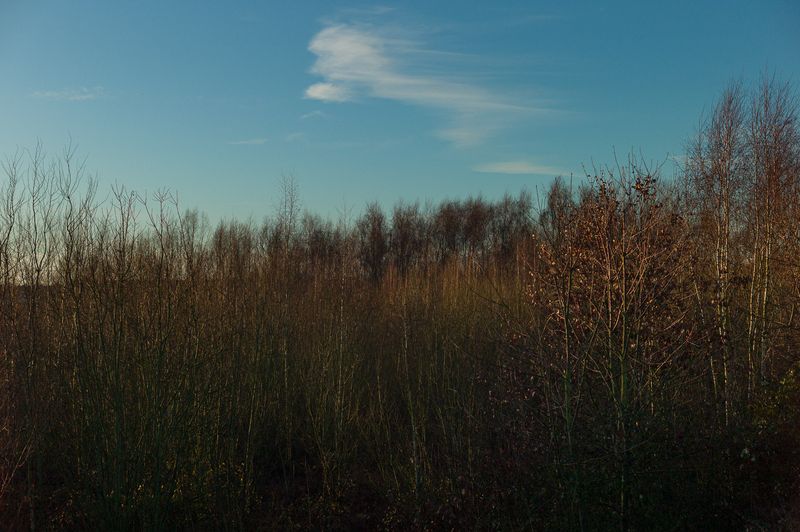 © Frederic George Pauwels - Image from the The Fringe photography project