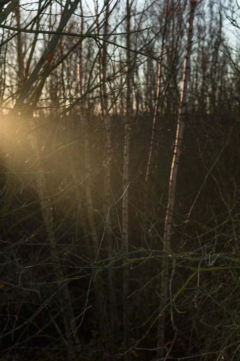 © Frederic George Pauwels - Image from the The Fringe photography project