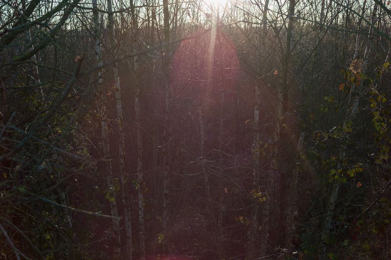 © Frederic George Pauwels - Image from the The Fringe photography project