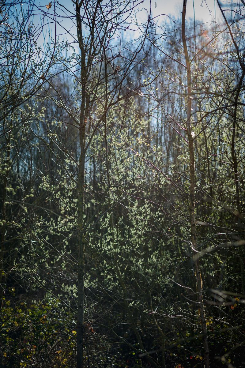 © Frederic George Pauwels - Image from the The Fringe photography project