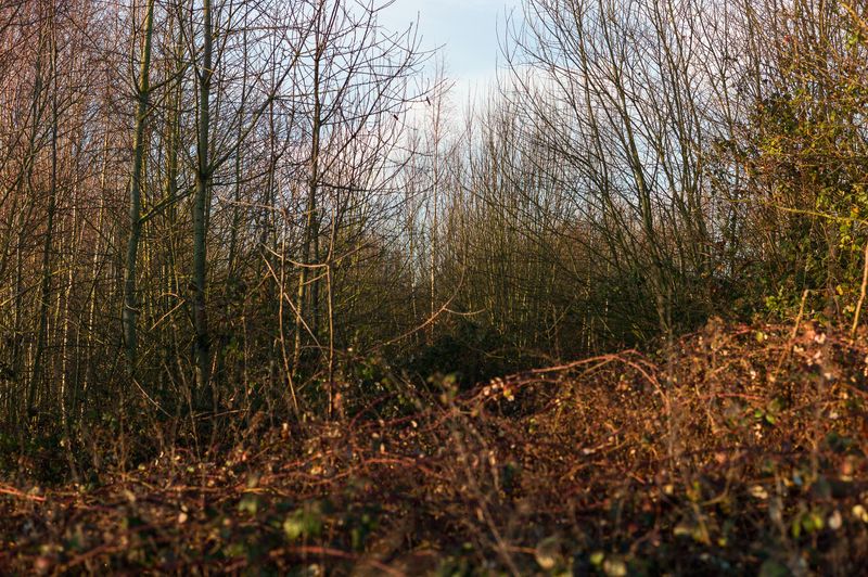 © Frederic George Pauwels - Image from the The Fringe photography project