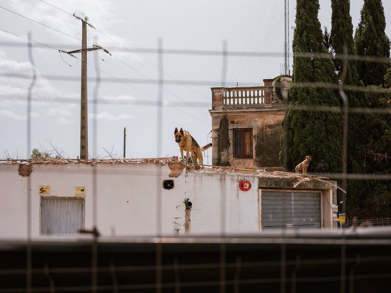 © Frederic George Pauwels - Image from the This is not a Road Trip, this is not America. photography project
