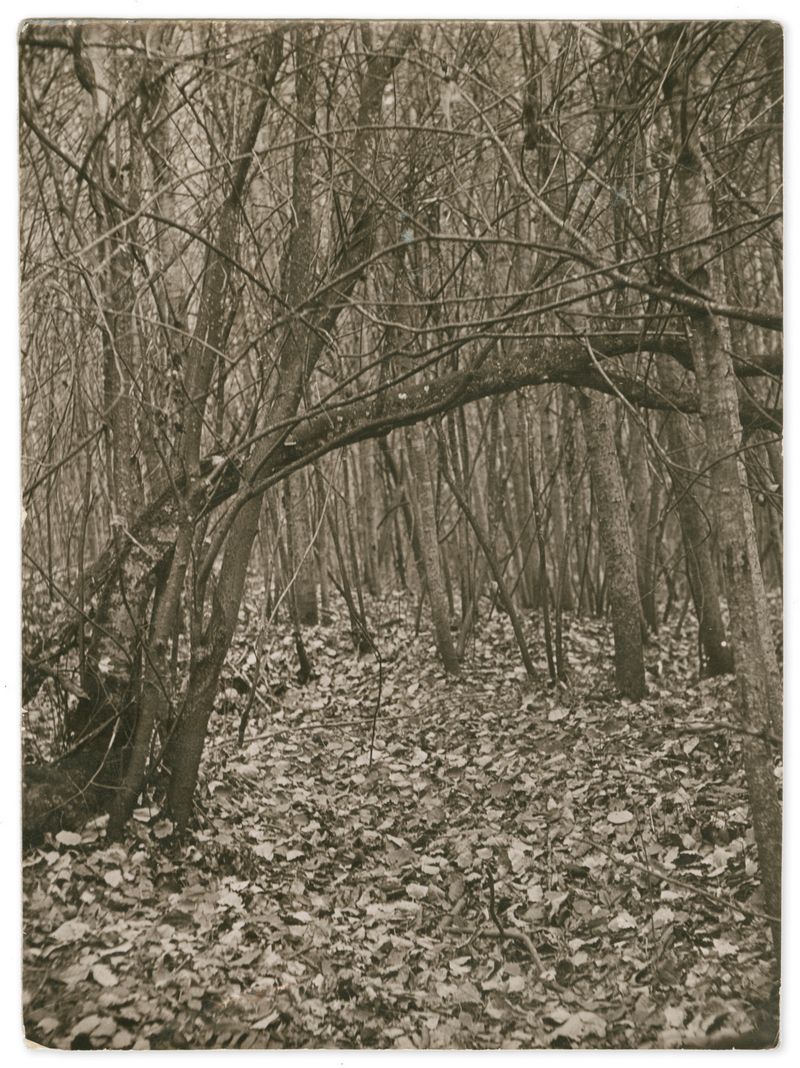 © Edgar Martins - Image from the When He Spoke He Fired Imaginary Shots With His Gun Shaped Hands photography project