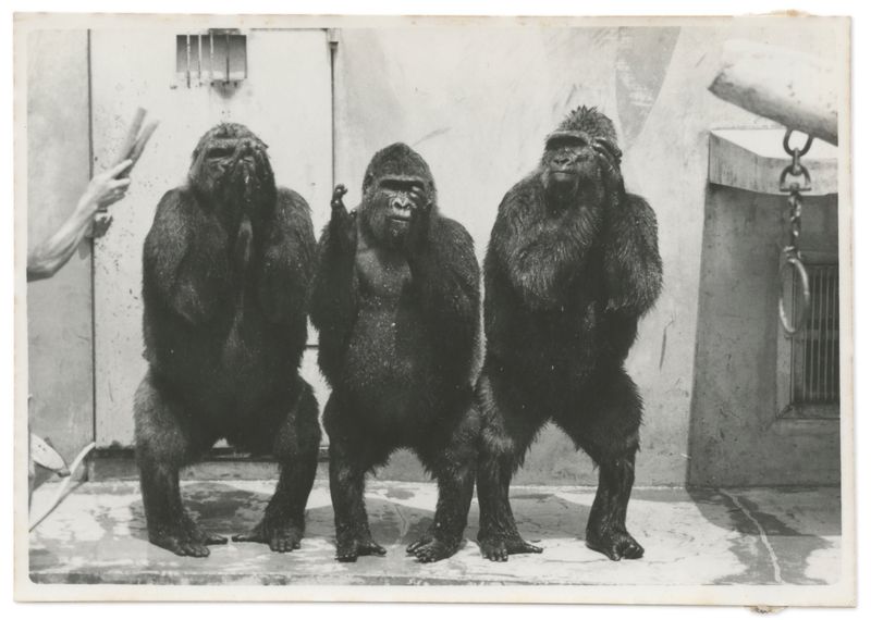 © Edgar Martins - Image from the When He Spoke He Fired Imaginary Shots With His Gun Shaped Hands photography project